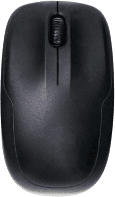 mouse