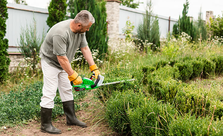 Garden care